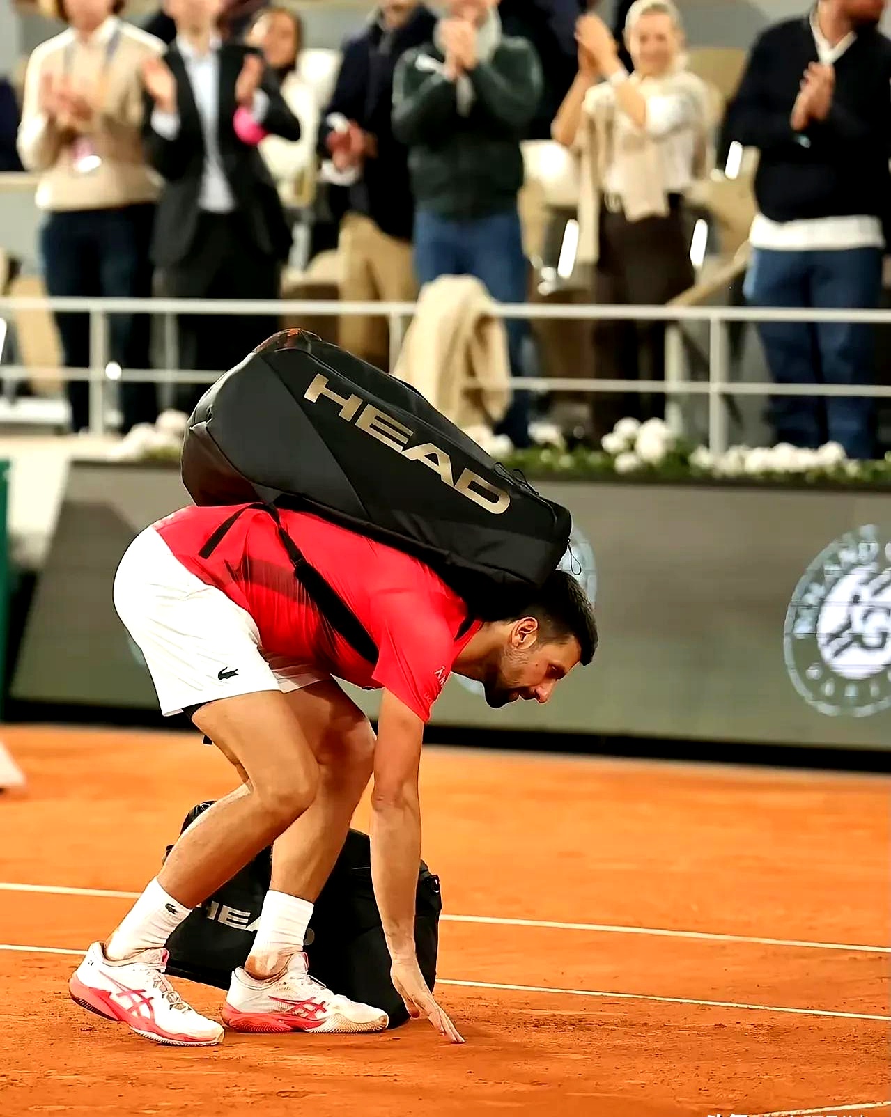 最新游戏免费下载德约科维奇迎来十赛季出色发挥，快船观众热烈欢呼！