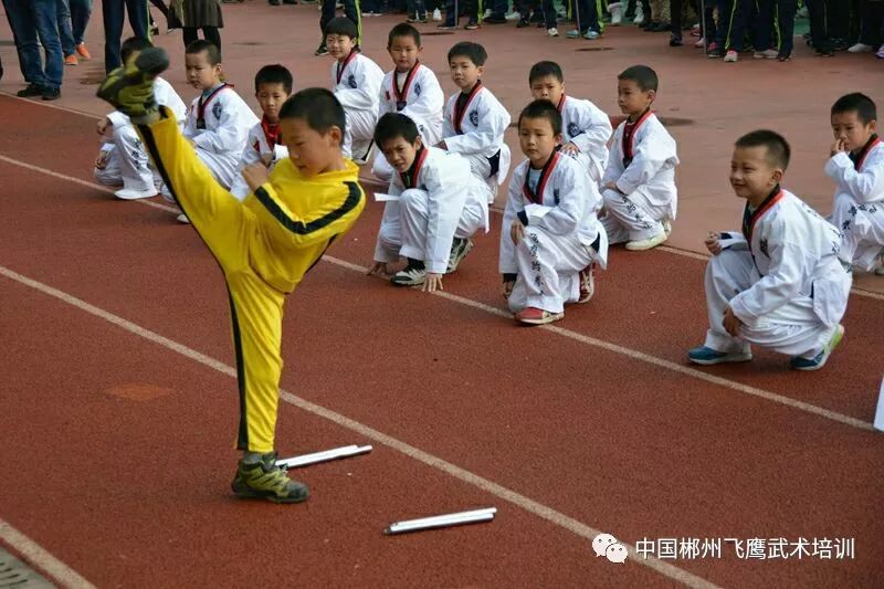 在线试玩游戏 飞鹰跆拳道馆 